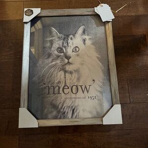 Meow Anonymous cat picture